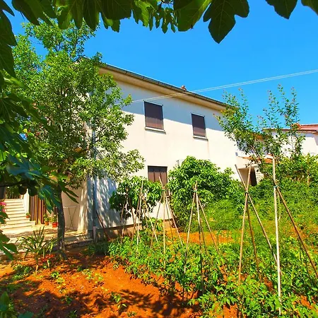 Apartmensts Nikola 1023 Fažana